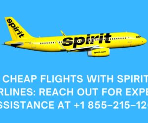 Cheap Flights with Spirit Airlines: reach out for expert assistance at +1 855–215–1262.