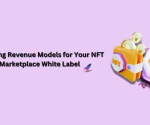 Exploring Revenue Models for Your NFT Marketplace White Label