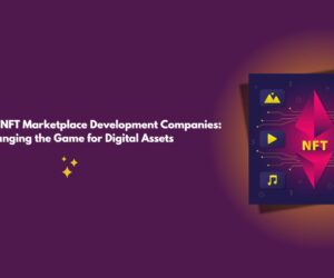 White Label NFT Marketplace Development Companies: Changing the Game for Digital Assets