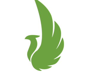 Celer: Streamlined Business Solutions