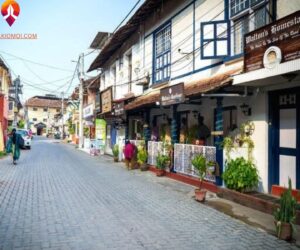 Exploring Jew Town: A Cultural and Historical Hub in Fort Kochi, Kerala