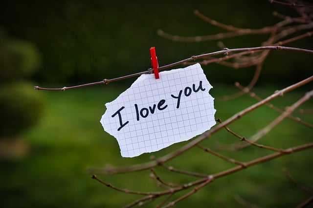 How to Forget Someone You Love