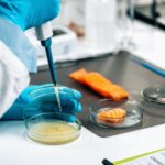 mercado-de-pruebas-de-seguridad-alimentaria