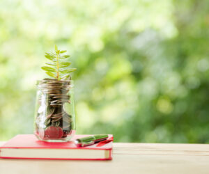 How to negotiate loan terms as an unemployed?