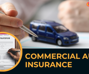Exploring Smart Auto Coverage Choices with L.A. Insurance in Redford Charter Township