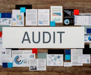 Audit Consulting Firms in India: A Complete Overview