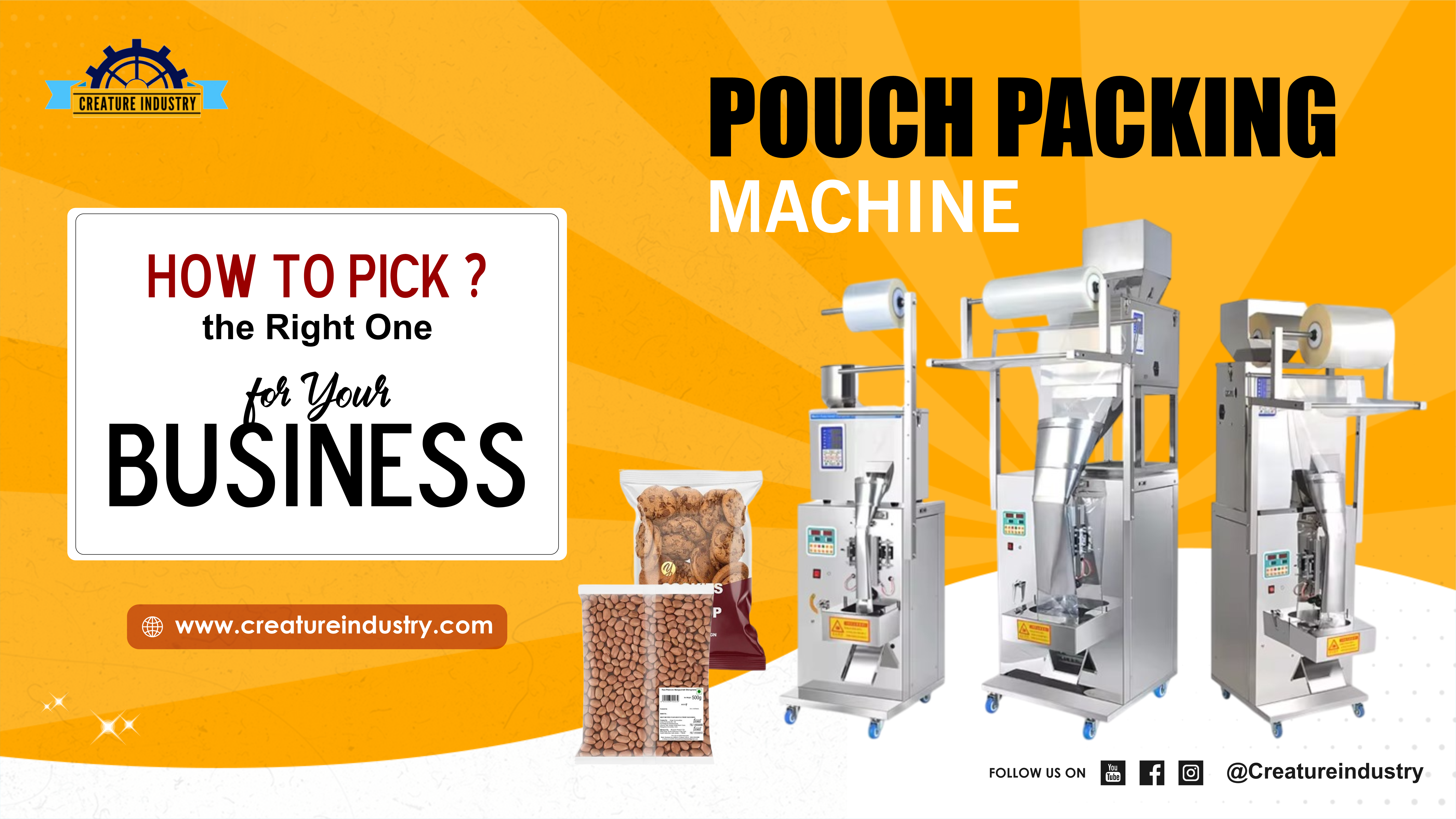 Pouch Packing Machine | Pouch Packing Machine Price
