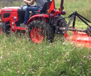The Benefits of Brush Hogging Near Palm Coast, FL