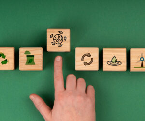 Why a Carbon Management Strategy Is Essential for Corporate Sustainability