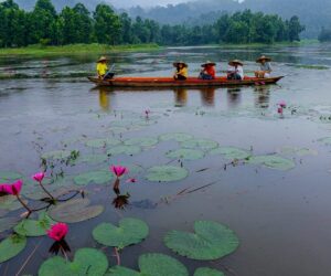 Chandubi Lake: A Serene Retreat in the Heart of Assam