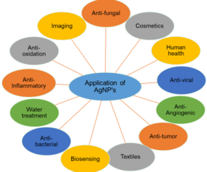 Endotoxin Free Silver Nanoparticles for Advanced Biomedical Research