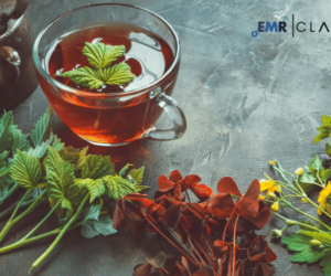 Herbal Infusion Snack Packs Manufacturing Plant Project Report – Production Process, Market Insights, and Business Opportunities