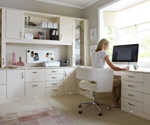 Dave the Cabinet Guy: Providing Expert Cabinet Solutions in Sarasota