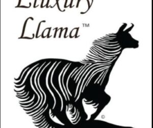 Support Sustainability with Llama Fiber Products