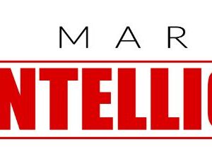 Fresh Strawberry Market Trends and Opportunities: In-Depth Analysis (2024–2032)