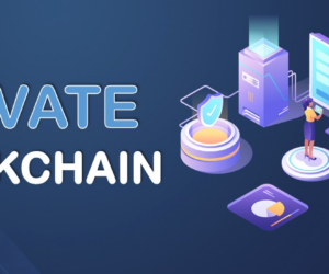 Exploring Private Blockchain Development Companies for Business Growth