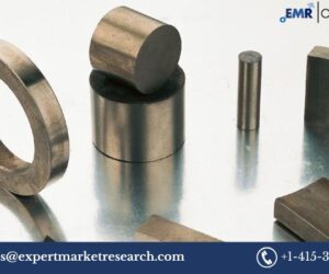 Rare Earth Magnet Market: Trends, Growth, and Forecast 2025-2034