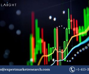 Trade Surveillance System Market Growth, Trends, and Insights (2025-2034)