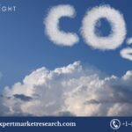 United Kingdom Carbon Dioxide Market