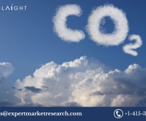 United Kingdom Carbon Dioxide Market Trends, Growth, and Opportunities (2025-2034)