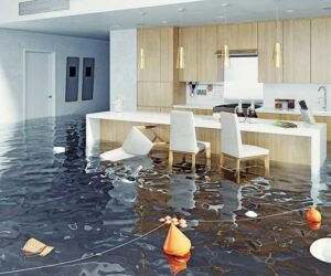 How to Restore Your Home After Water Damage in Cape Coral