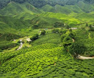 Exploring Assam, Meghalaya, and Arunachal Pradesh: A Complete Tour Guide