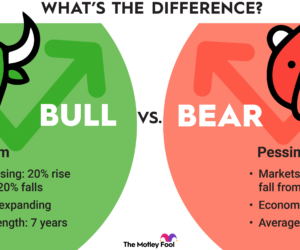 Bull vs Bear Market: Which is Better for Investors?