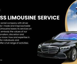 Belgium city tour hire