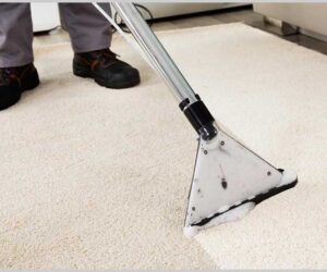 How Carpet Cleaning Enhances Your Home’s Comfort and Wellness