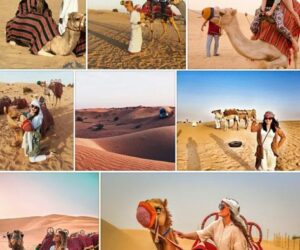 Best Desert Safari Tours in UAE – Book Your Adventure