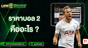 Top แทงบอล Sites: Where to Place Your Bets Online