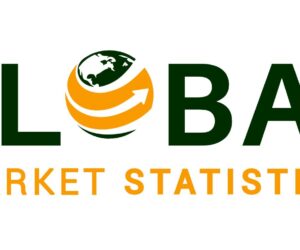 Observation Mini Rov Market Growth and Forecast 2025-2033