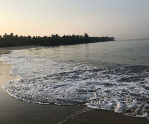 Munambam Beach: A Tranquil Retreat in Kochi
