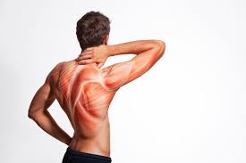 What Could Cause Severe Muscle Pain?