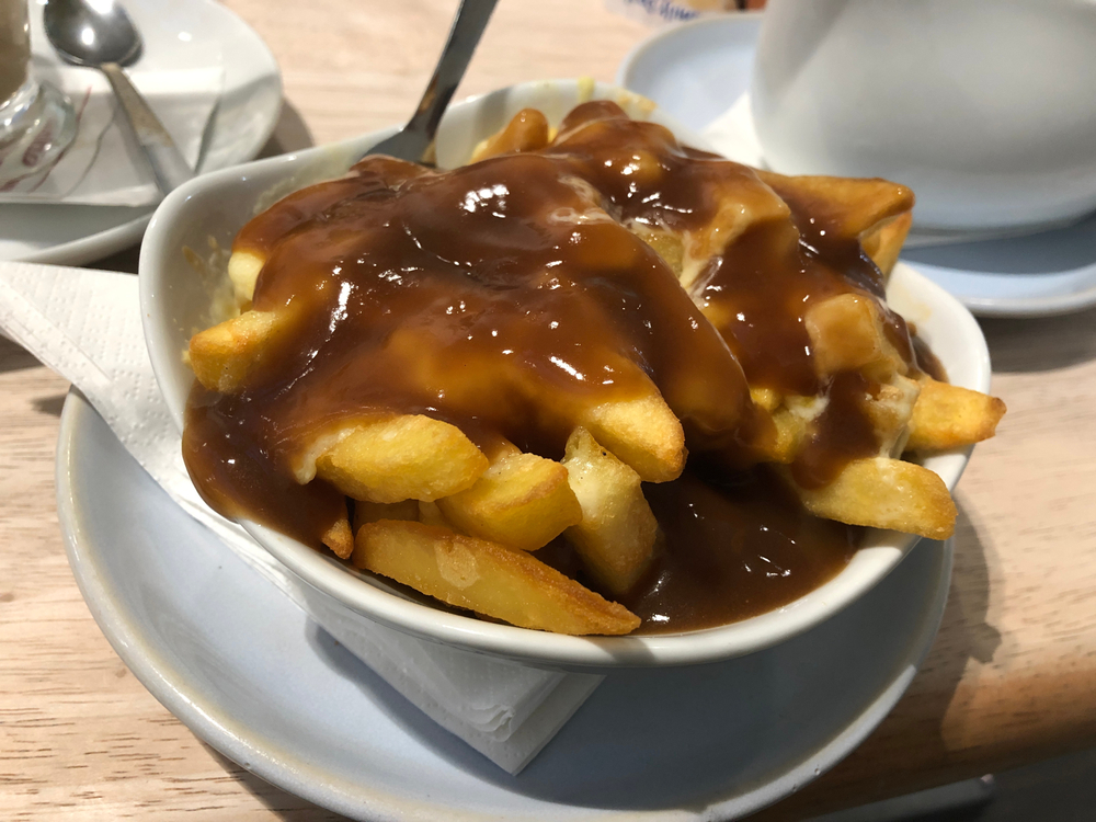 nib gravy kids