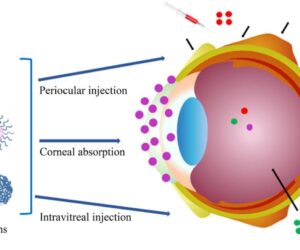 Accelerating Ophthalmic Drug Research with Therapeutic Development Technologies
