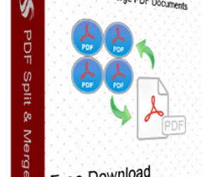 Splitting PDF Made Easy- Manual and Professional Techniques Explained