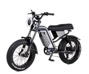 Fat Tire Electric Bike