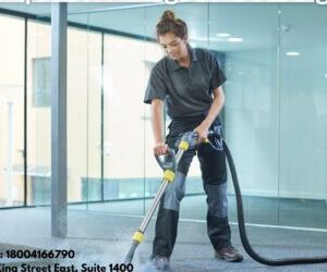 How Carpet Cleaning Services Can Improve Your Home’s Visual Appeal
