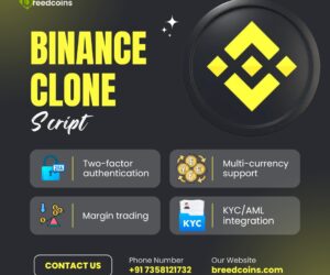How to Launch Your Own Crypto Exchange like Binance Today