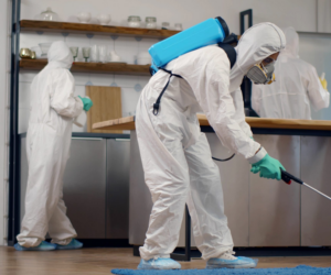Why Pest Control Businesses Should Adopt Eco-Friendly Practices for Long-Term Success