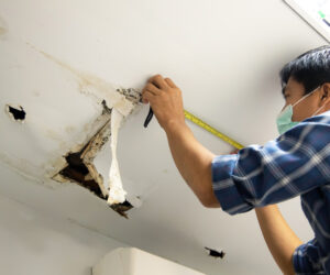 Calgary Drywall Trends: Modern Designs to Upgrade Your Space