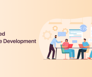 Dedicated Software Development Team