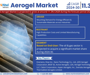 Global Aerogel Market Comprehensive Analysis and Forecast 2024 to 2030