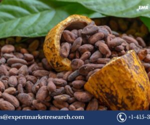 Cocoa Market: Growth, Trends, and Forecast 2025-2034