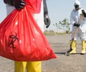 Who Provides the Best Hazardous Removal Services in Deerfield Beach, FL?