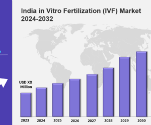 India in Vitro Fertilization (IVF) Market Size, Share, Insights, and Growth Drivers