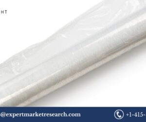 PE Films Market: Trends, Growth, and Future Outlook (2025-2034)
