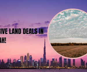 Unlock Your Dream Property: Exclusive Land Listings in Sharjah!