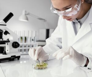 Protein G Agarose Beads: Reliable Choice for IgG Purification
